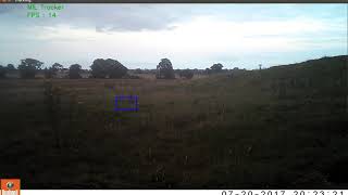 Animal detection and tracking