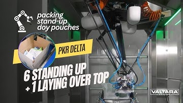 PKR Delta Robot Case Packing Machine for Stand Up Doy Pouches into Cases