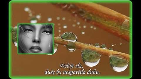 Citáty o slzách… ♫ = ♥ヅ