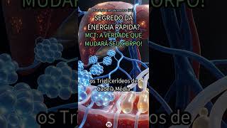 60. MCT: A VERDADE OCULTA sobre ENERGIA Instantânea! 🤯 #MCT #energia #metabolismo #nutrição #go