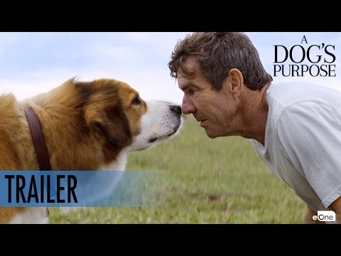 a-dog's-purpose---trailer---coming-soon-[hd]