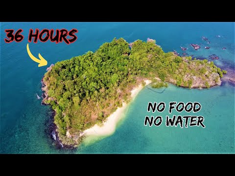 Alone on a Deserted Tropical Island with NO FOOD or WATER 