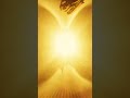 The last Titan, Cocijo, in Elite Dangerous goes Boom Short