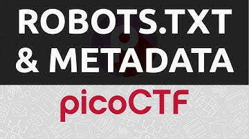 PicoCTF 2019 [10] Robots.txt & Metadata