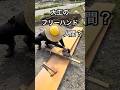 大工の丸ノコ技が異次元