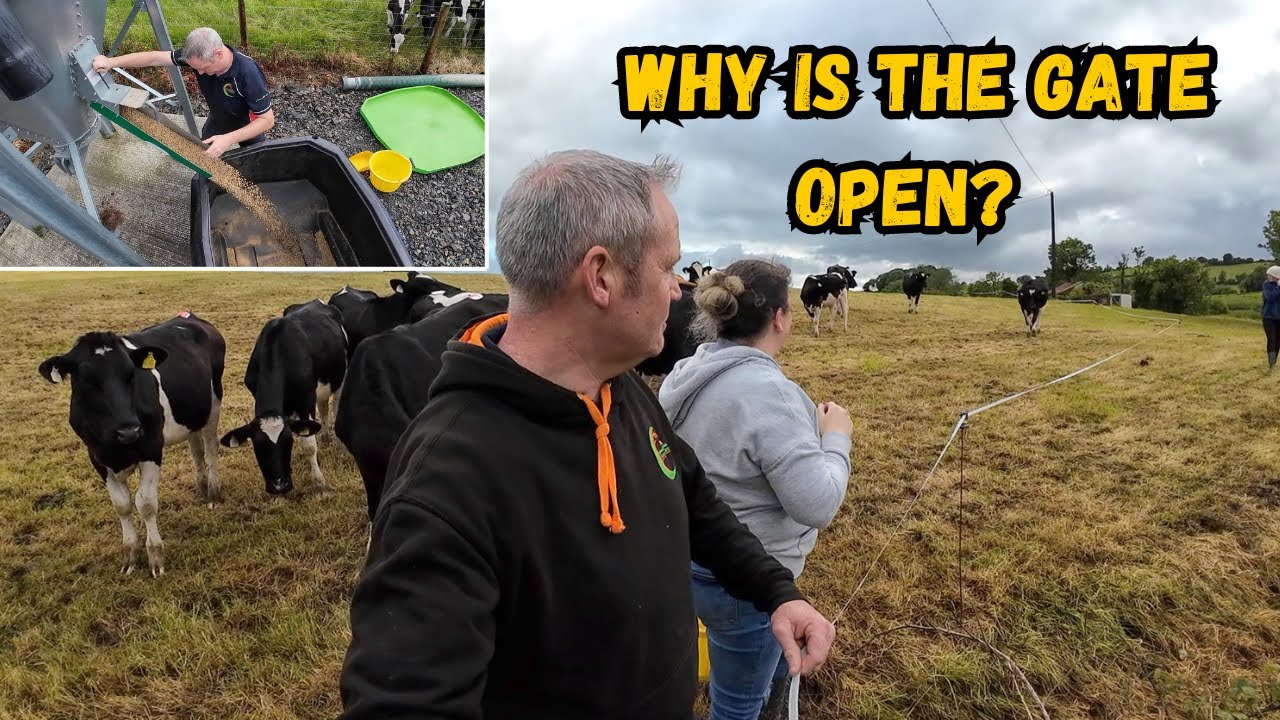 Gates OPEN Cattle Are MISSING!  Phone Call We Hate & Dreadful Conditions Hit The Farm