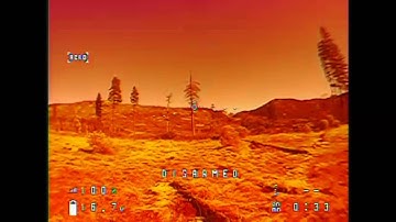 Osdoge with MW OSD showing screen menus