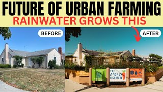 The Future Of Urban Farming: LA MicroFarm Grows Food with Rainwater by Learn Organic Gardening at GrowingYourGreens 14,296 views 6 months ago 35 minutes