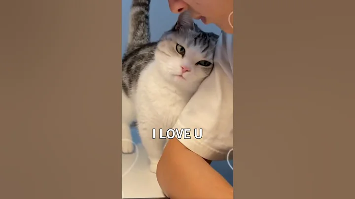 How Cats Say I LOVE U 💕 #facts - DayDayNews