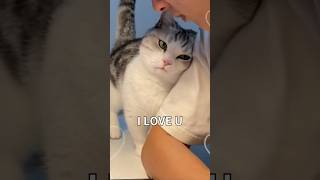 How Cats Say I LOVE U  #facts