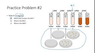 Determining MIC & MBC