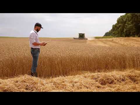 Video: Calamus žitarice - Ljubitelj Vlage