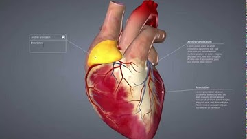 Pinning Annotations on Morphing Geometries with SceneJS 4.2.0