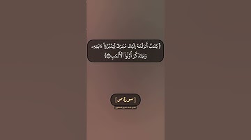سورة ص الآية ٢٩ بصوت الشيخ محمد صديق المنشاوي