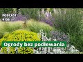 Noo 158 ogrody bez podlewania