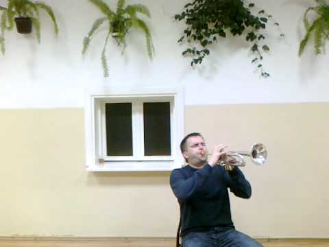 Jakub Puch High Notes 3