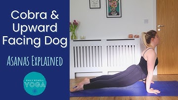Difference Between Cobra & Upward Facing Dog | Yoga Pose Tutorial | Asanas Explained