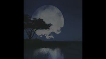 ﴿هُوَ الَّذي جَعَلَ الشَّمسَ ضِياءً وَالقَمَرَ نورًا..﴾ [يونس: ٥] القارئ ياسر الدوسري 🎤