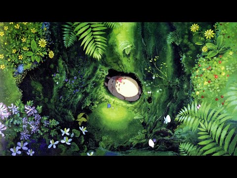 Beauty of nature shoot with bird sound