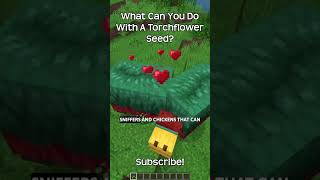What Can You Do With A Torchflower Seed In Minecraft?!