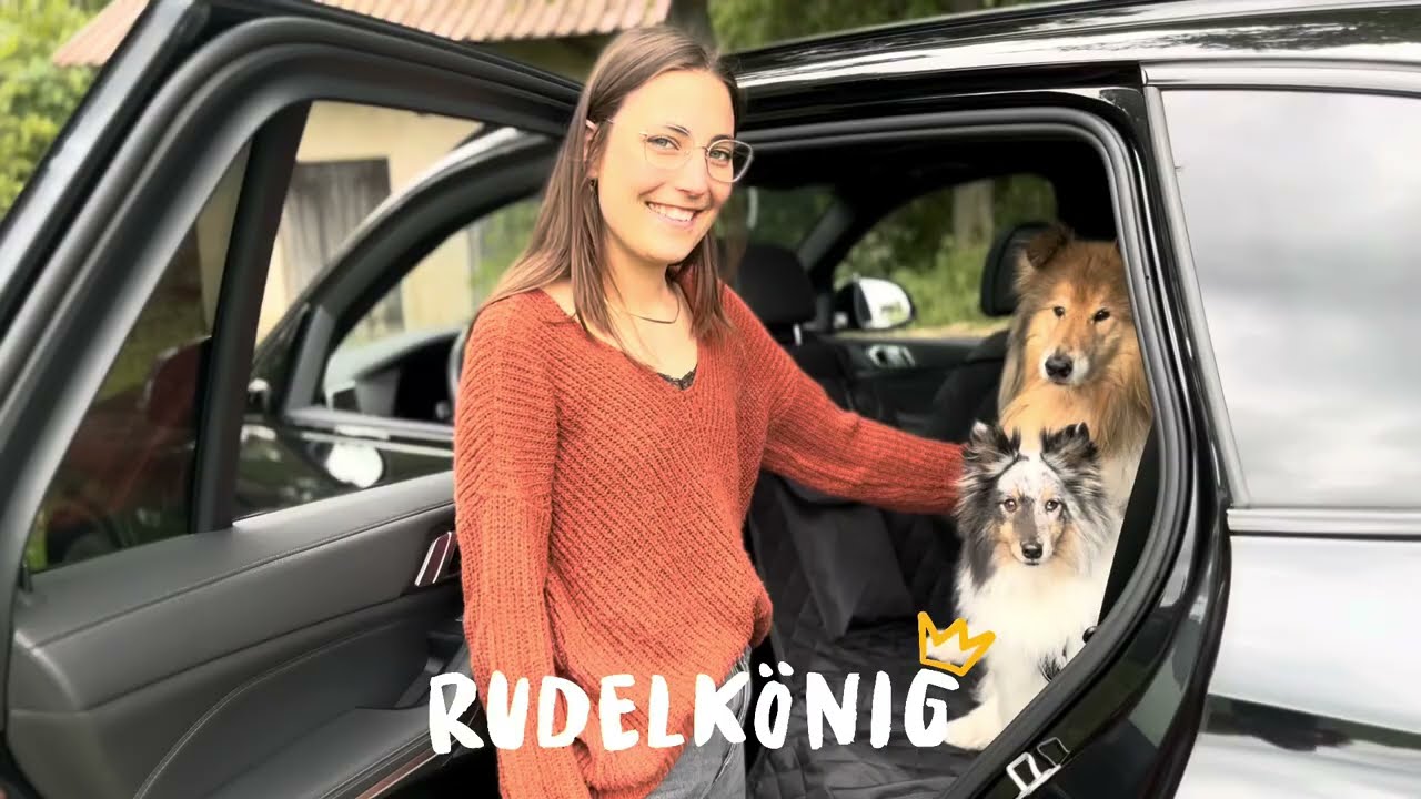 Rücksitzschutz für Hunde von Rudelkönig 🐶👑 