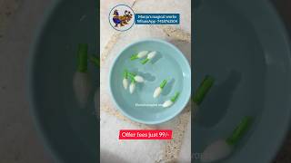 🎉Just ₹99-க்கு Artificial Flower Making class #aari #brooch #shorts #shortsfeed #ytshorts #diy #clip