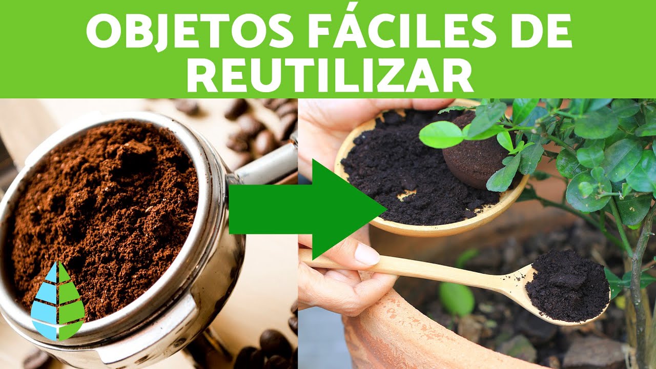 Térmico Espectador Extremo 6 COSAS que puedes REUTILIZAR ♻️ EJEMPLOS DE REUTILIZACIÓN - YouTube