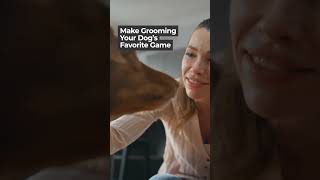 Making Grooming Fun for Your Pup