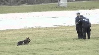 2008 USPCA Regionals - Criminal Apprehension with gunfire