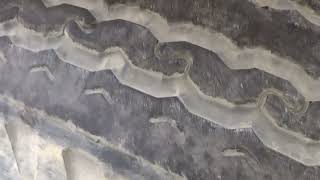 Bias ply tires with tubes, split rings, split rims, & spacers  vs radial tires. 2022-08-19 10:21