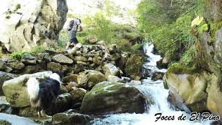 Foces de El Pino