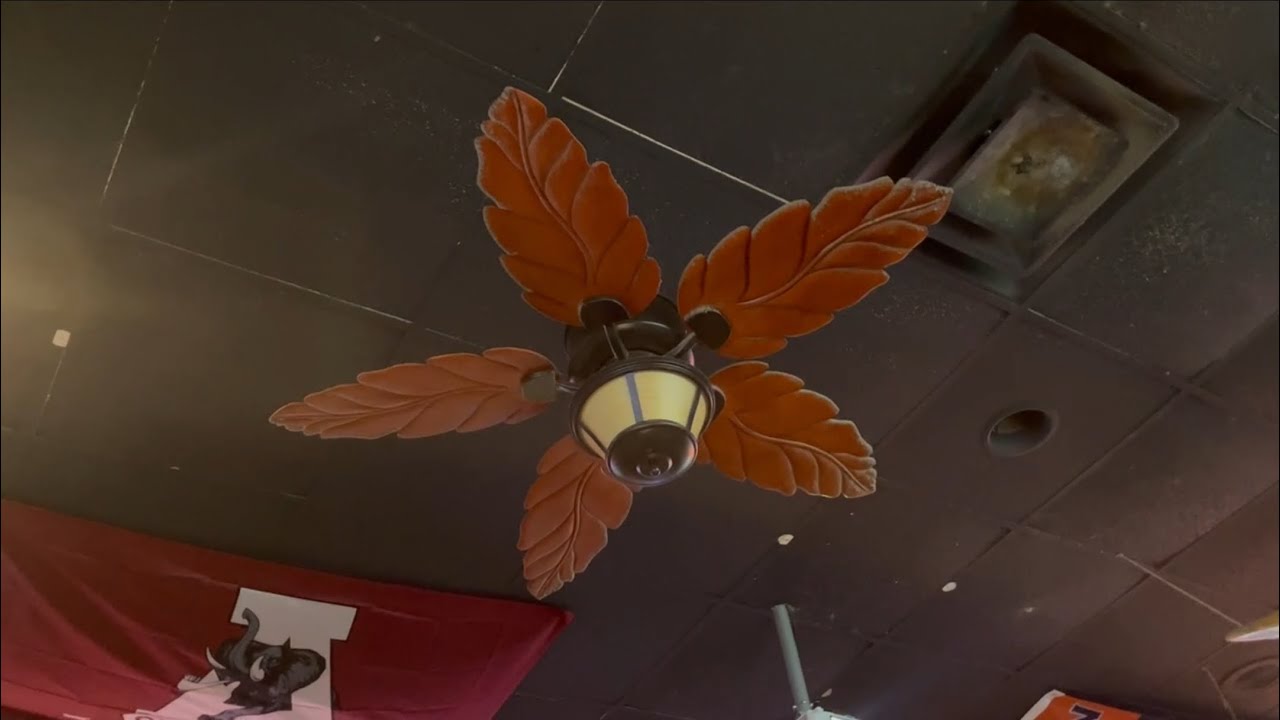 5 52” Harbor Breeze Cape Coral Ceiling Fans and 2 62” HDC Celene