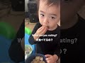 何食べてるの? リスさん🐿️ #shorts #babyboy #breakfast #朝ごはん #子育て #2歳