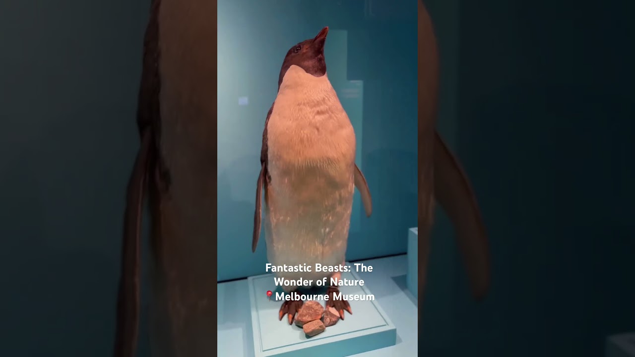 Fantastic Beasts: The Wonder of Nature📍Melbourne Museum 