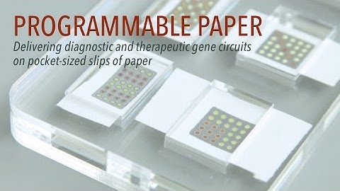 Programmable Paper Wyss Advances in Synthetic Biology
