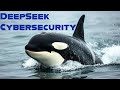 DeepSeek Cybersecurity