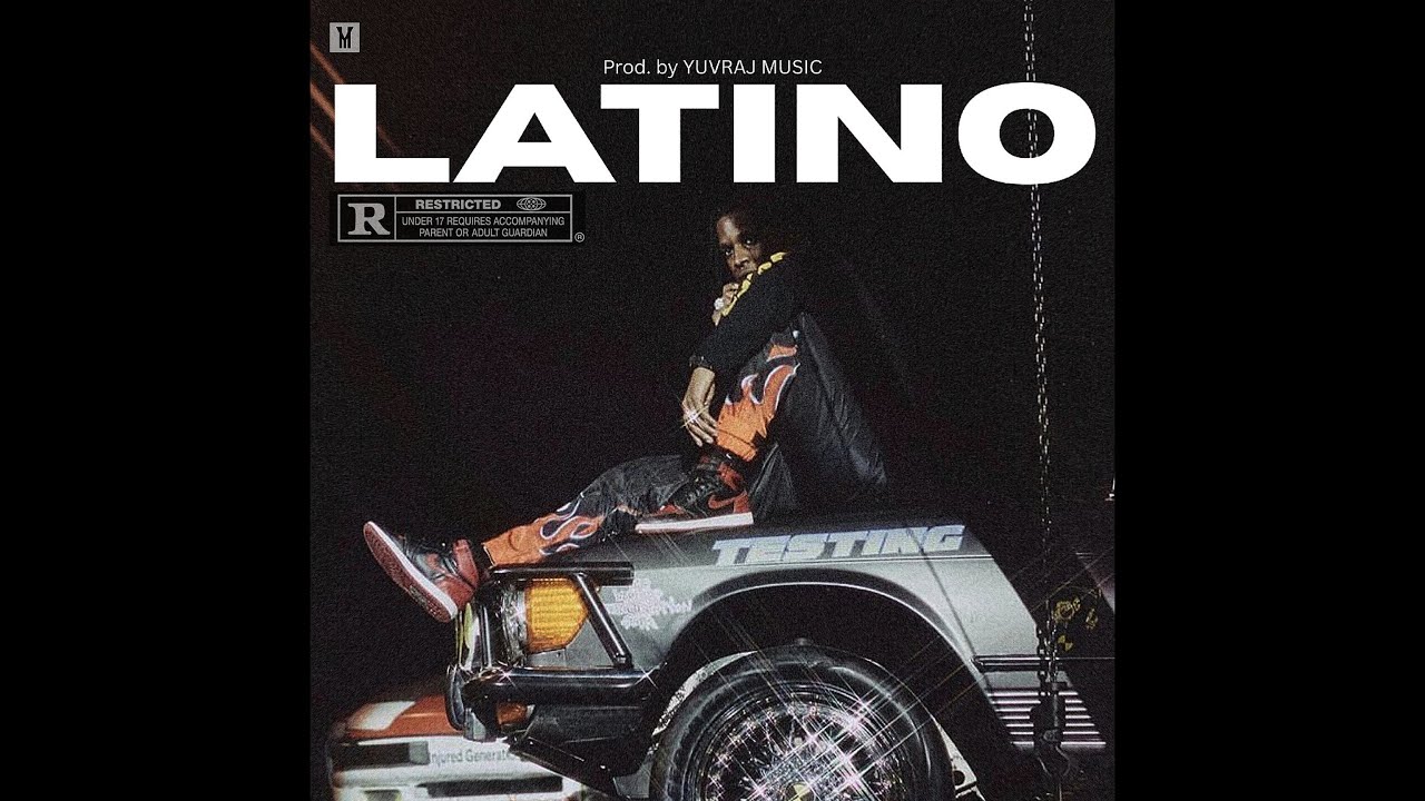 (FREE) "LATINO" - Punjabi Type Beat | Afro Type Beat | Romantic Afrobeat Type Beat