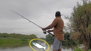 Fishing Catching Kuuri Vaala...