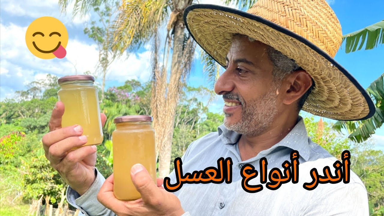 نحل البرازيل 🇧🇷 طريقة جني عسل النحل الغير لاسع 🐝