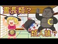 【ゆっくり解説】全生物の進化を見ていこう(1/7)