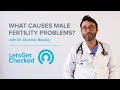 What Causes Male Fertility Problems? | Male Infertility Explained