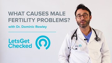 What Causes Male Fertility Problems? | Male Infertility Explained