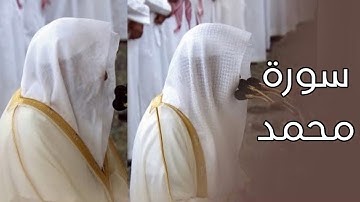سورة محمد | المصحف الصوتي والمرئي من صلاتي التراويح والتهجد بالمسجد النبوي لعام 1445هـ.