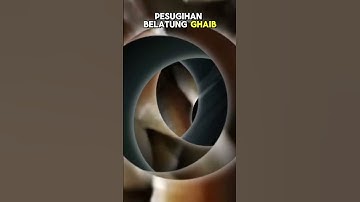 Rumah Penuh Belatung Ghoib 🥶#trending #trendingshorts #viral #virallshorts  #fypシ゚viral #video