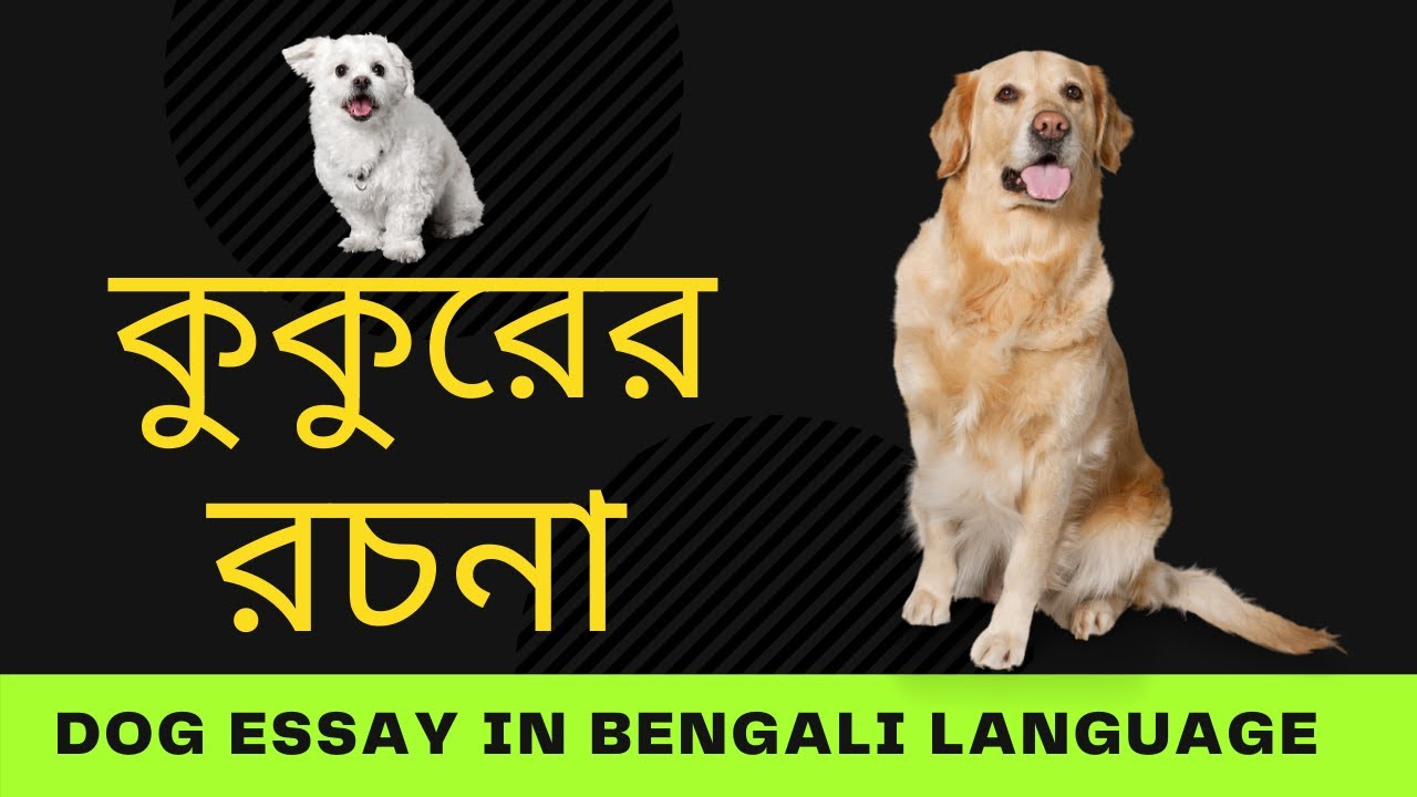 dog essay bengali