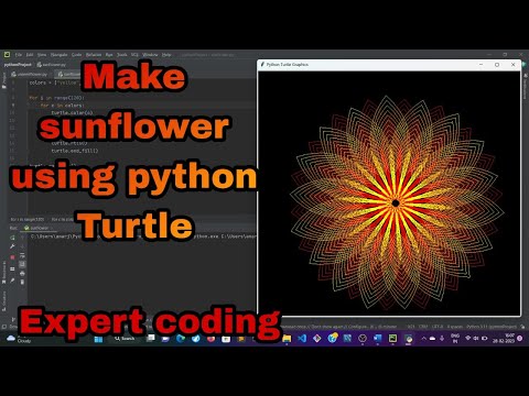 make sunflower using python Turtle || make sunflower for begineers 2023 || @expertcoding3624
