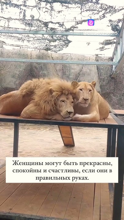 Истина!!! #подпишись - YouTube