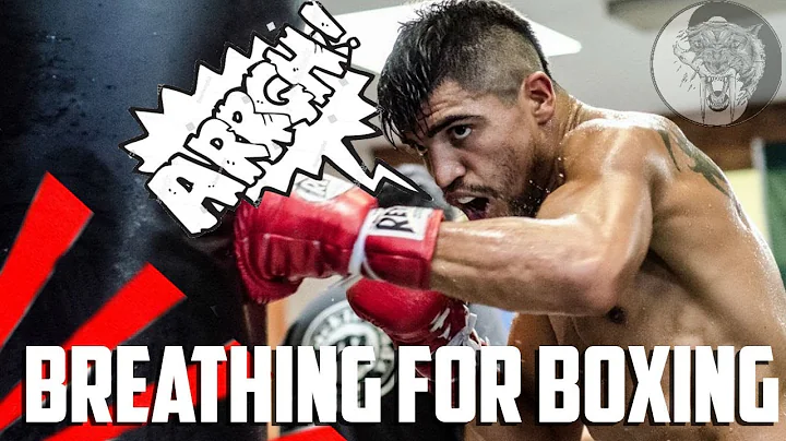 Why do fighters yell when they punch? (2023)