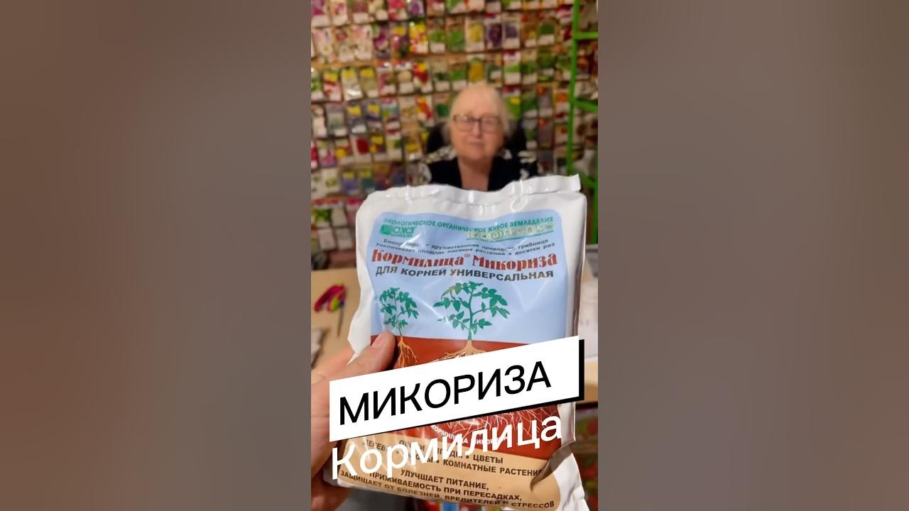 Бесполезный корень