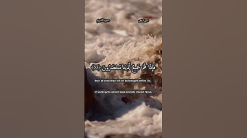 سورة يس للقارئ سعود الشريم من 51-54